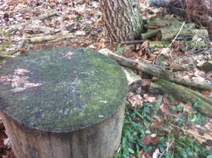 Historic site: former fort